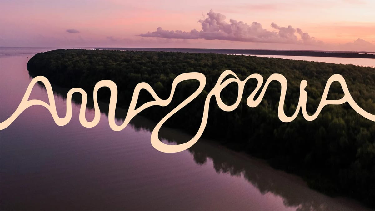 Amazonia brand identity by FutureBrand