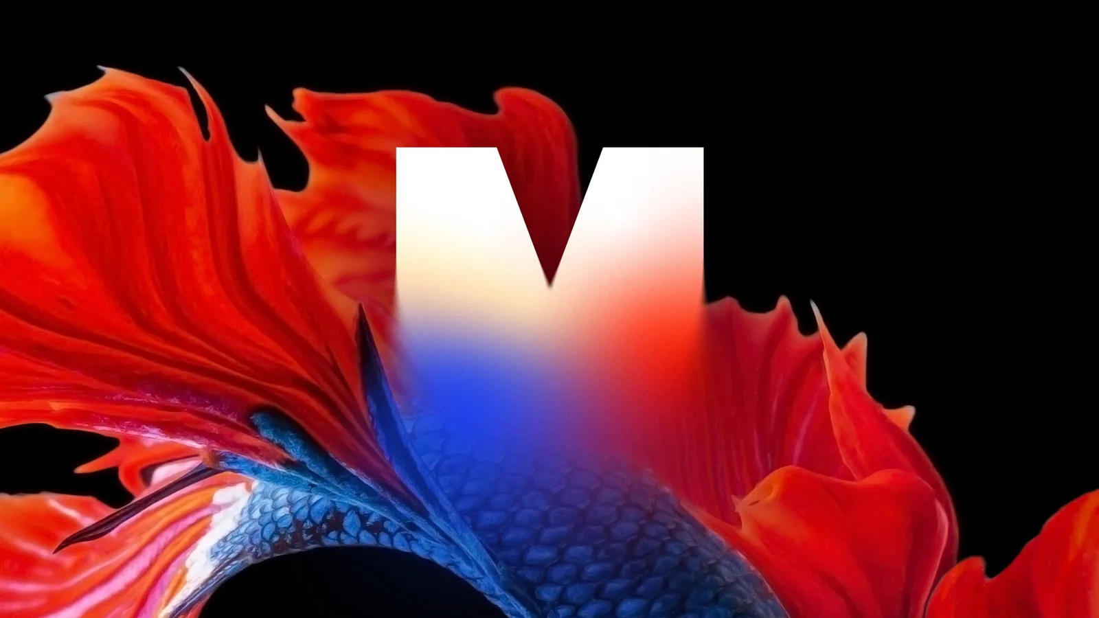 Art on The Mart brand identity design by Firebelly (9)