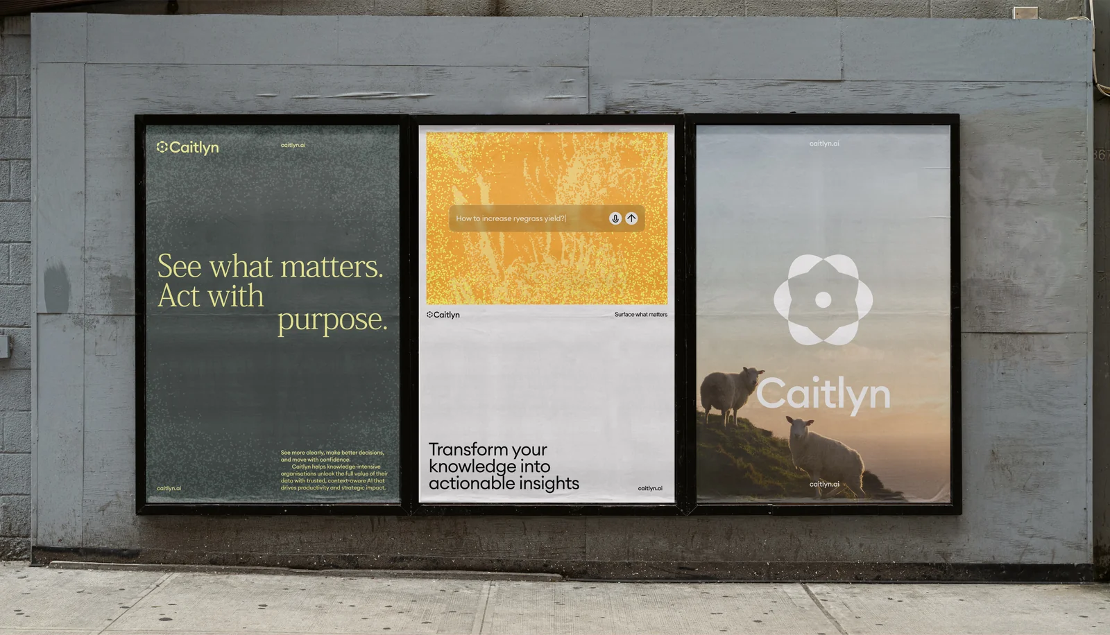 Caitlyn brand identity