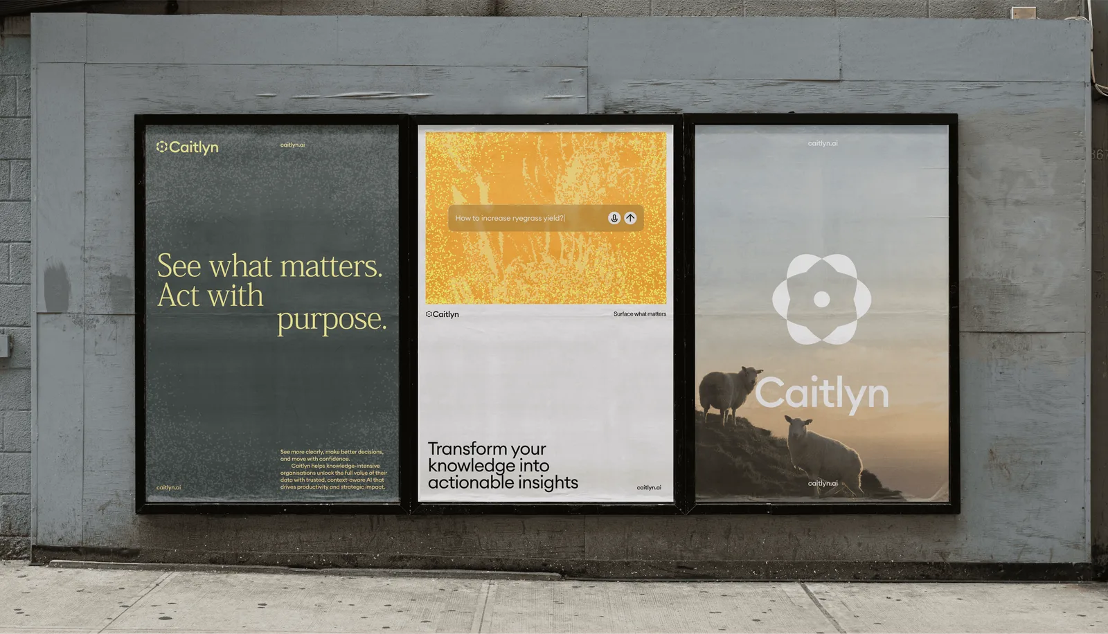 Caitlyn brand touchpoints by Kallan & Co