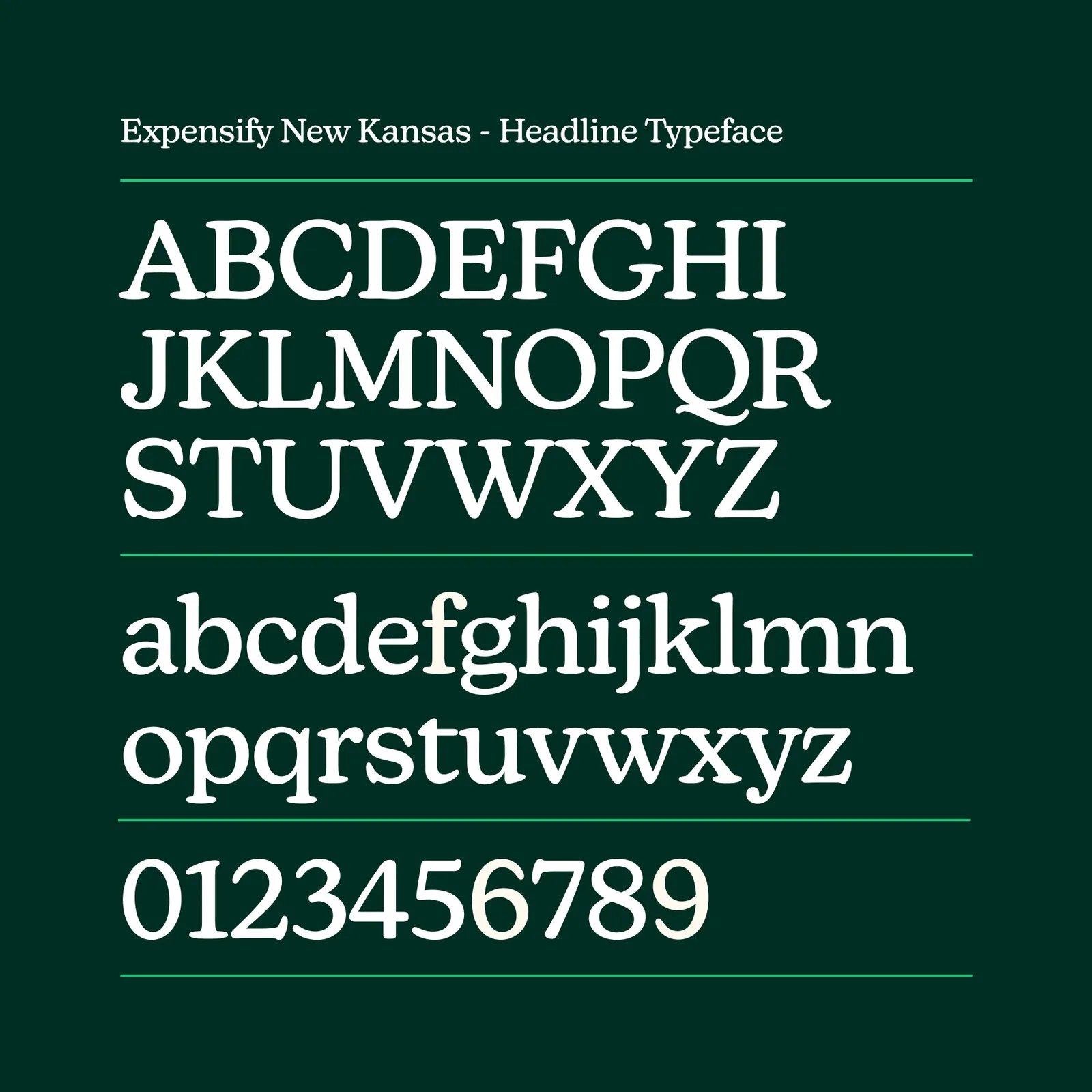 Expensify brand identity by The Collected Works