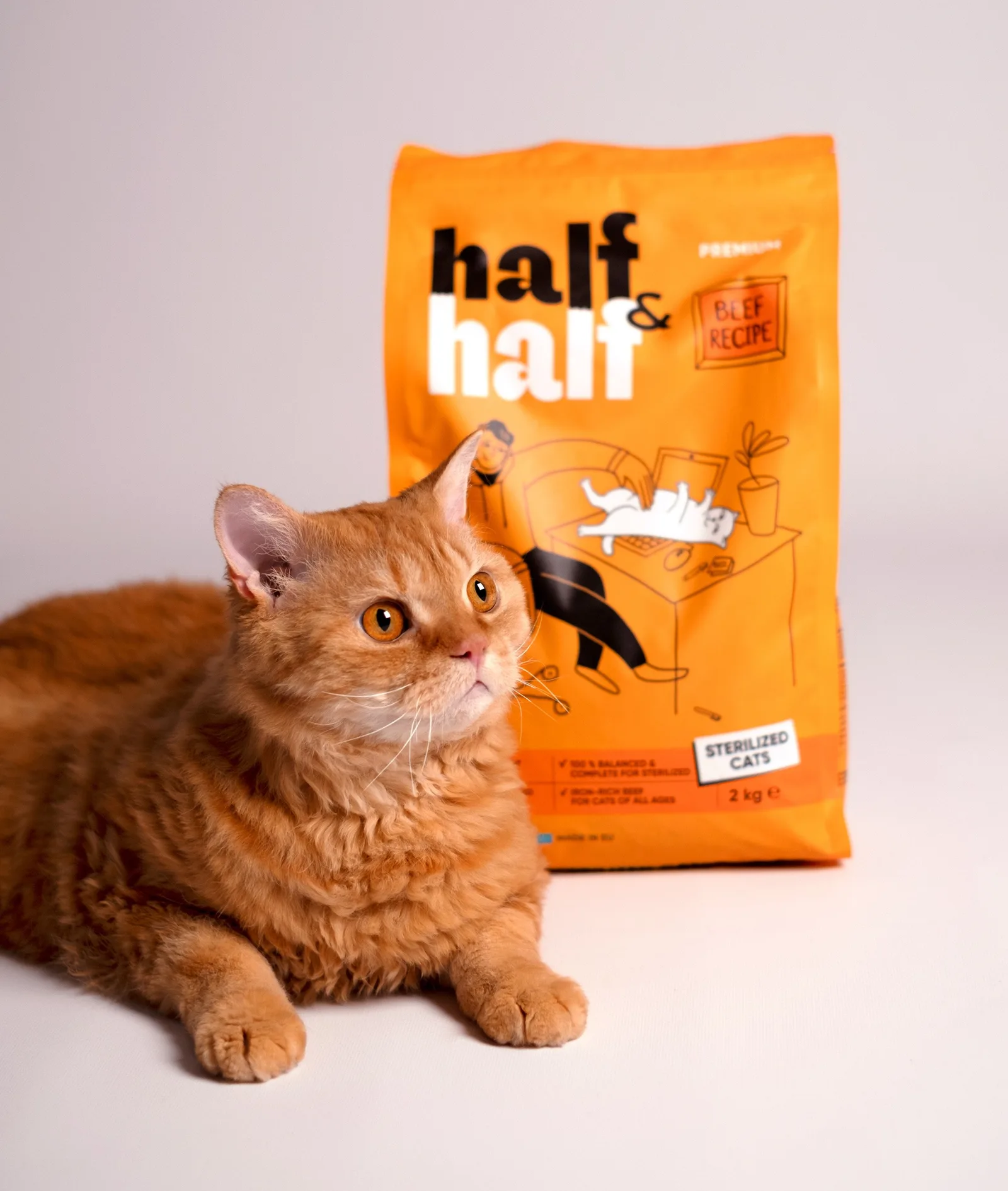 Half & Half brand identity design by Dozen Agency (9)