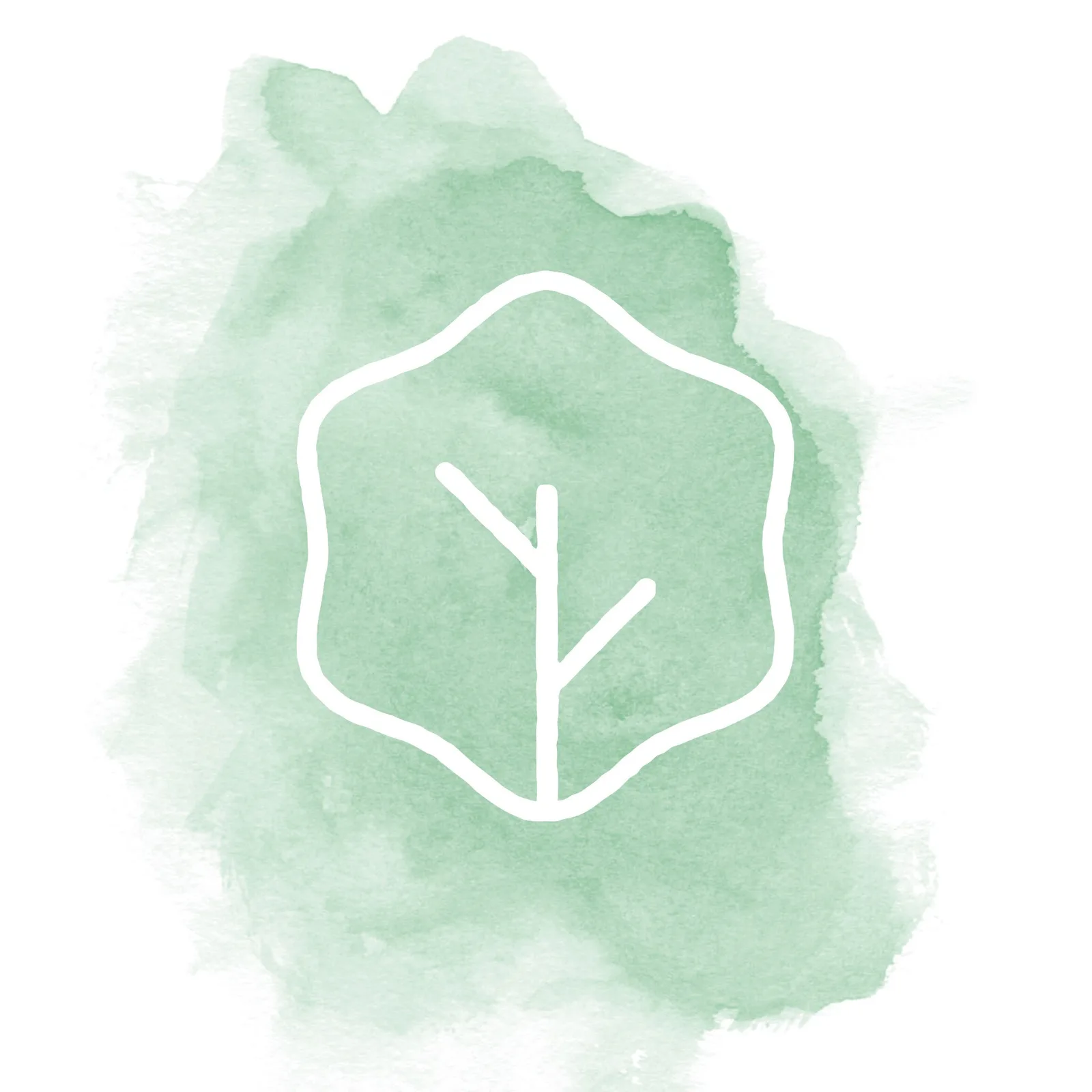 Liv Salad brand identity design by My Creative (5)