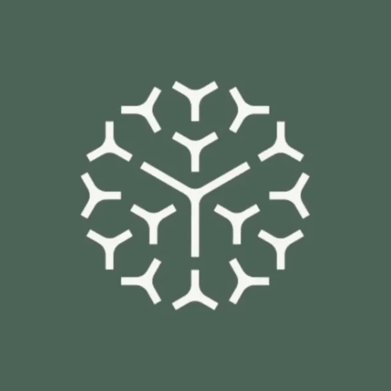 Pairpoint Logo brand identity by Koto - Visual 0