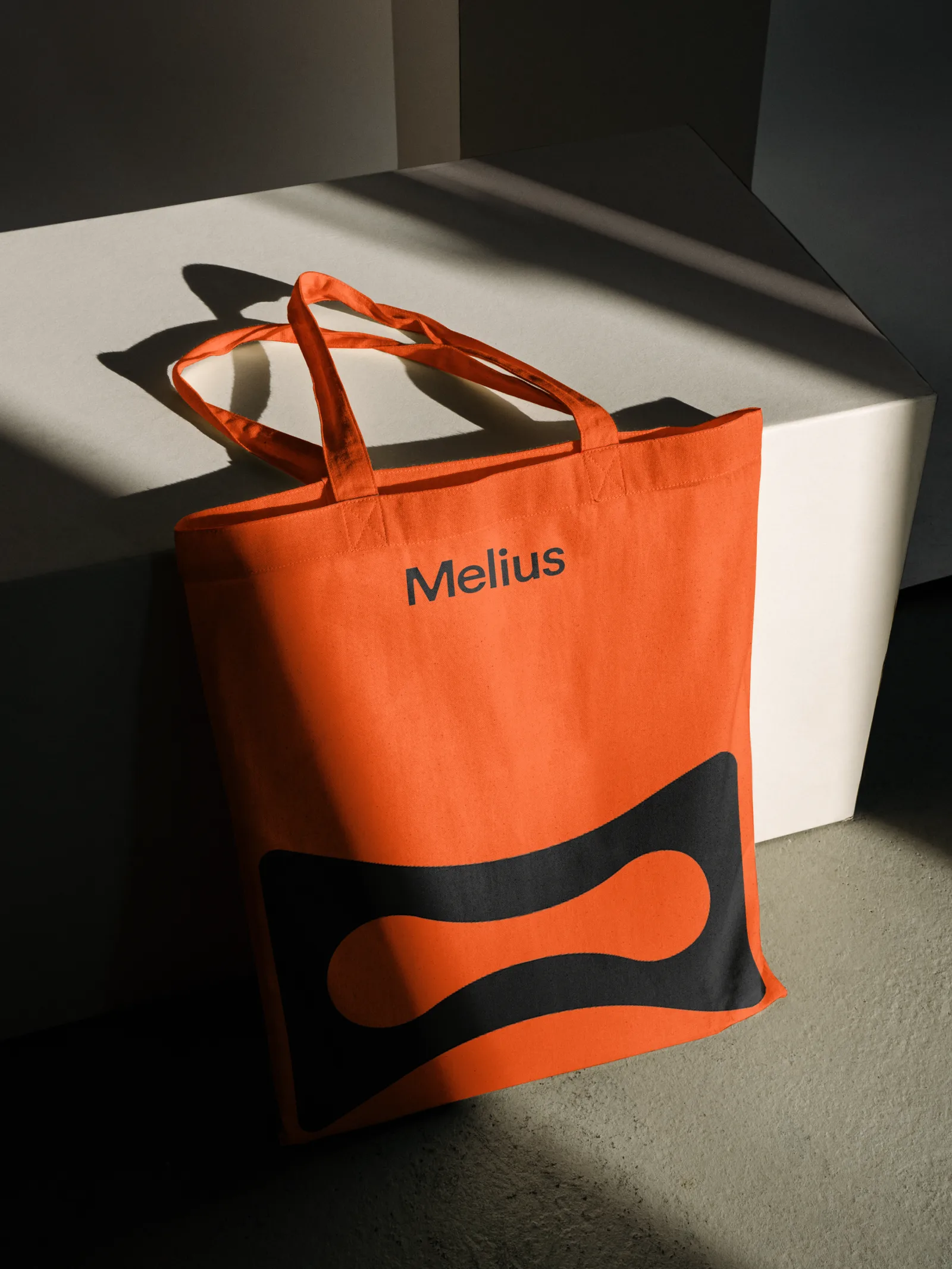 Melius brand identity by View Source