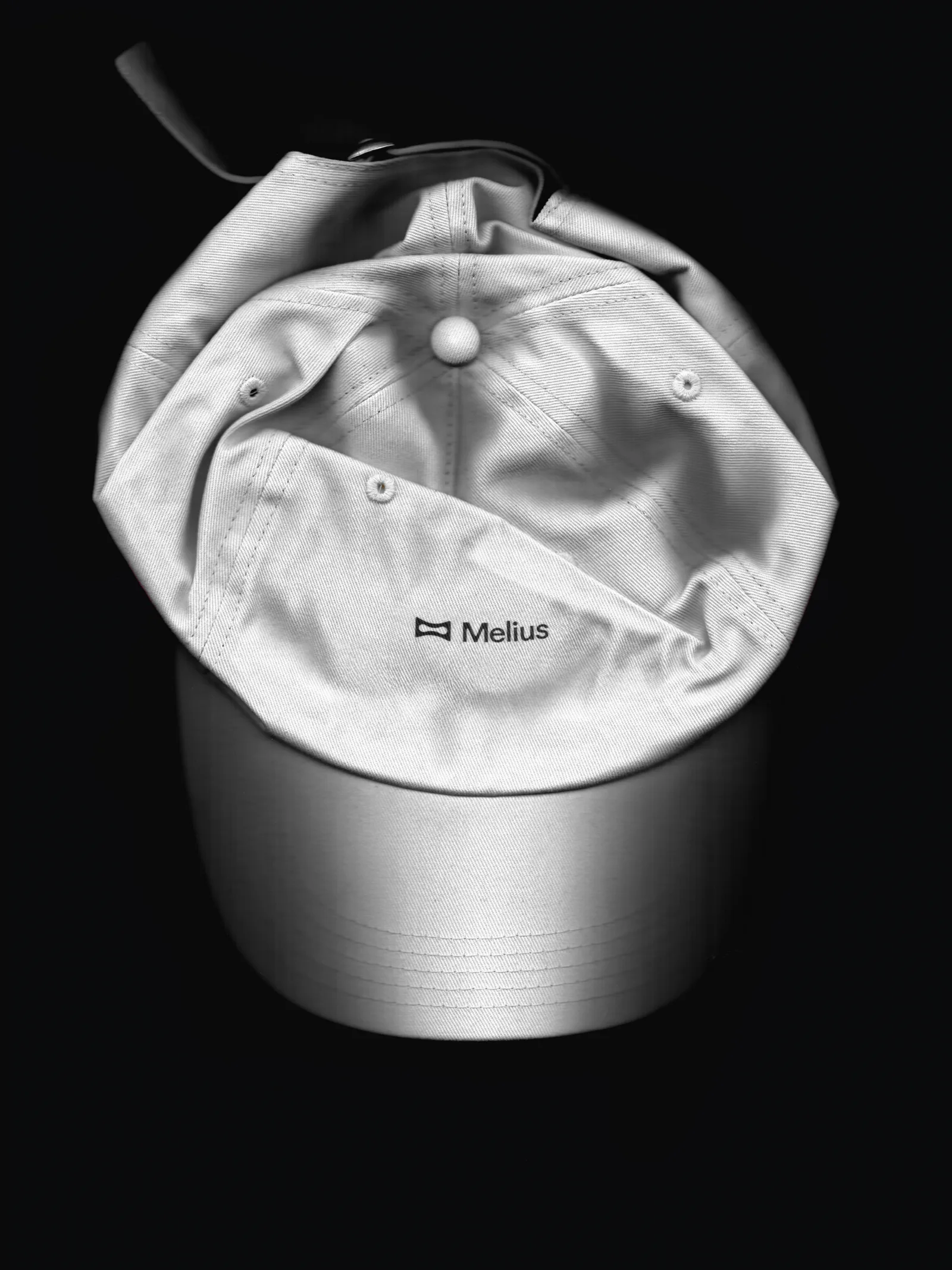 Melius brand identity by View Source