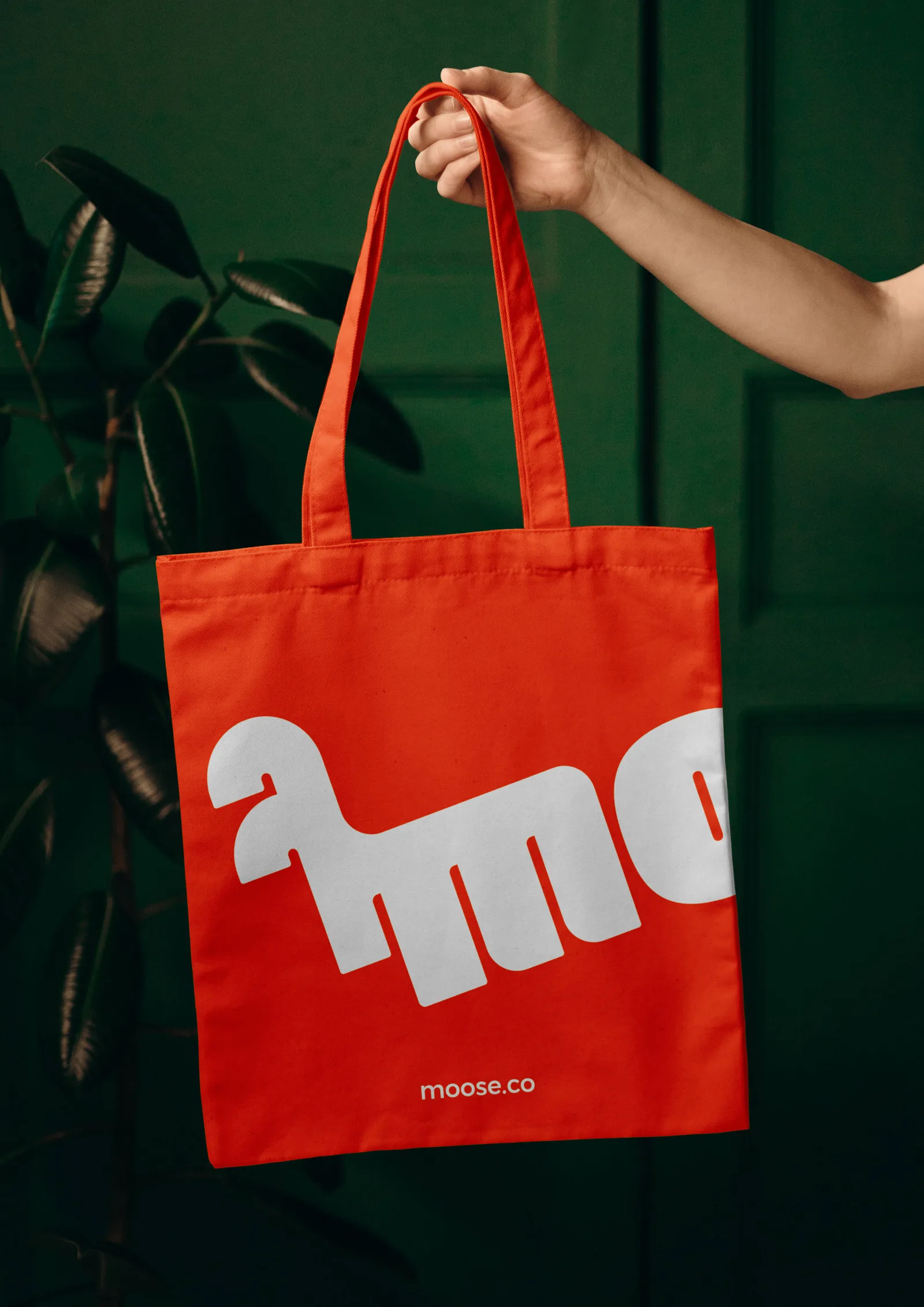 Moose brand identity design by NotOnSunday (6)