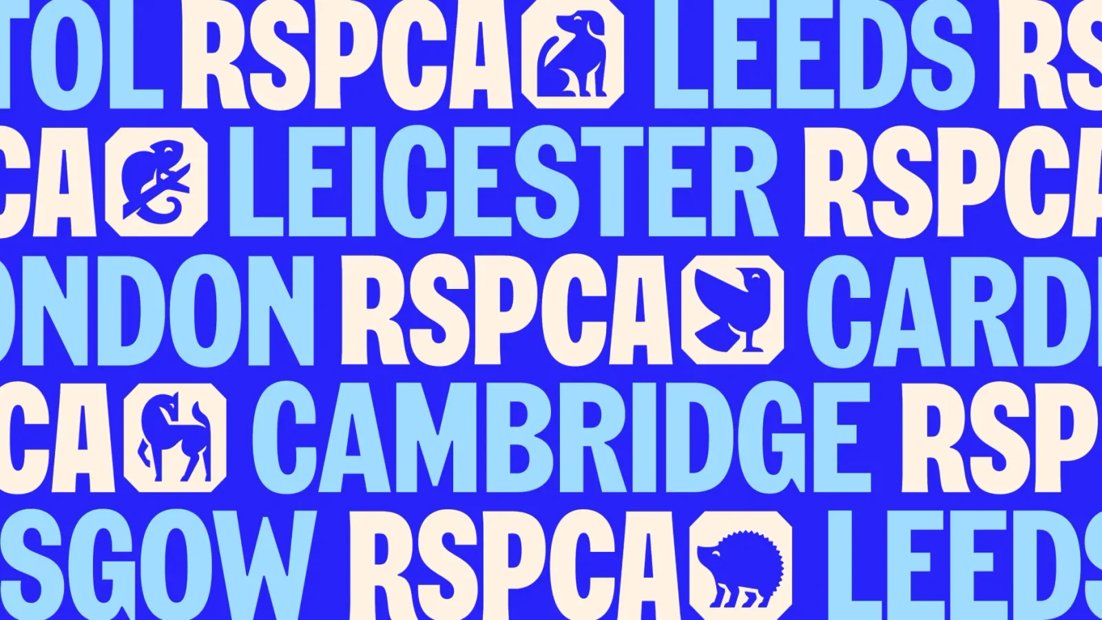 RSPCA brand identity design by Jones Knowles Ritchie (2)