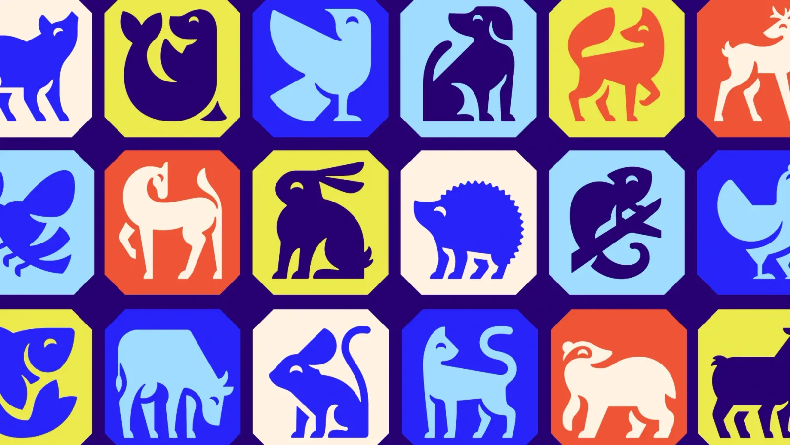 RSPCA brand identity design by Jones Knowles Ritchie (4)