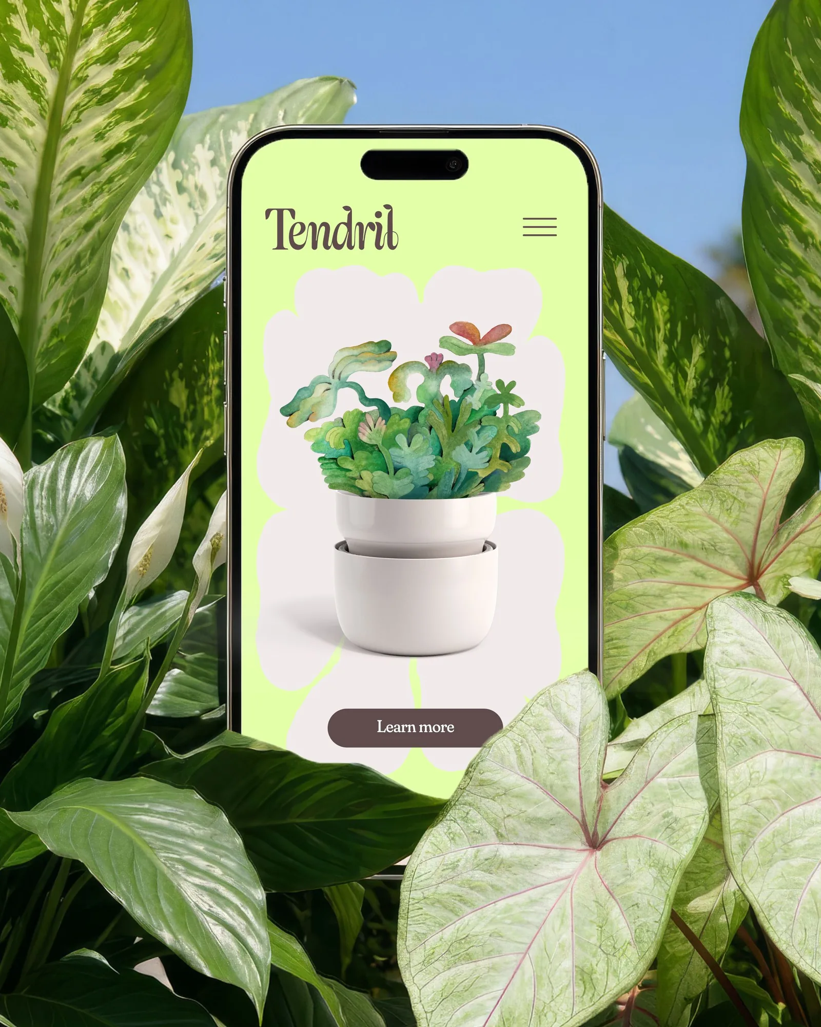 Tendril mobile website on a phone among leaves