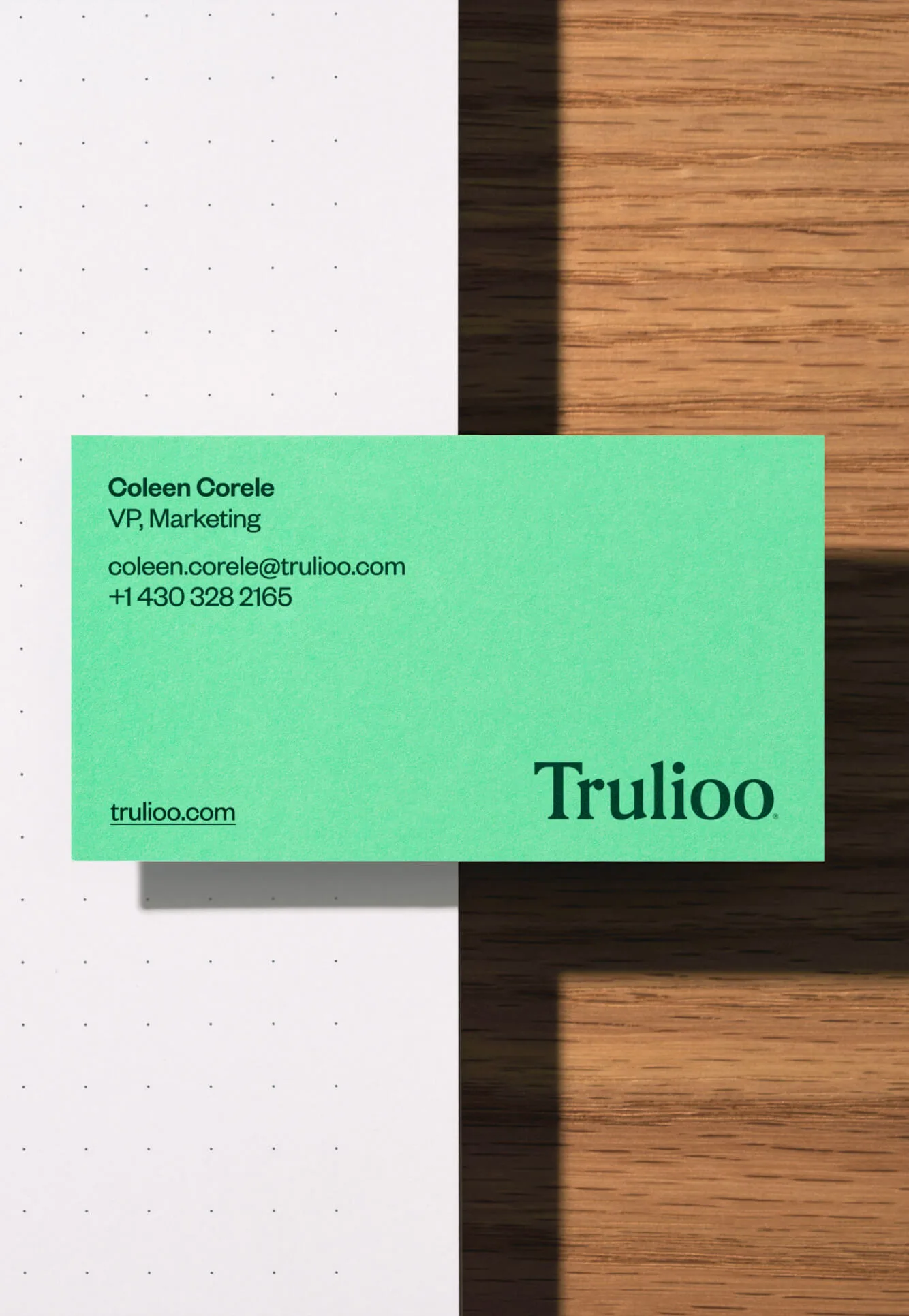 Trulioo brand identity design by PENDO (2)